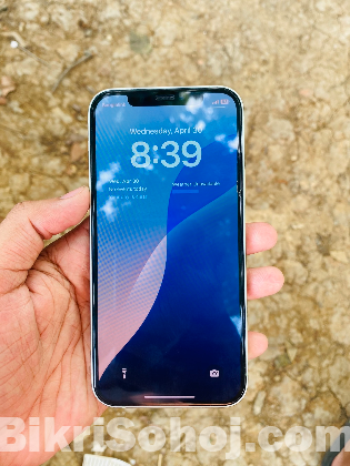 iPhone 12